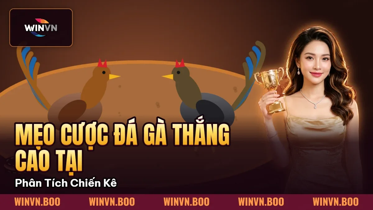 Mẹo Cược Đá Gà Thắng Cao Tại WINVN – Phân Tích Chiến Kê